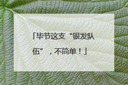 毕节这支“银发队伍”，不简单！
