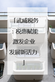 武威税务：税惠赋能 激发企业发展新活力