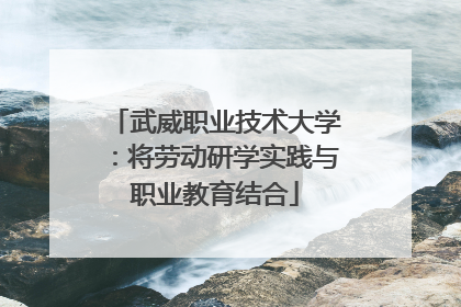 武威职业技术大学：将劳动研学实践与职业教育结合