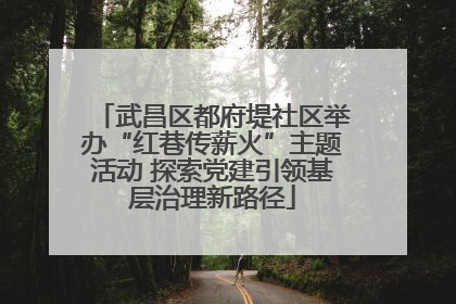 武昌区都府堤社区举办“红巷传薪火”主题活动 探索党建引领基层治理新路径