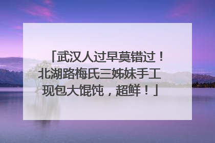 武汉人过早莫错过！北湖路梅氏三姊妹手工现包大馄饨，超鲜！
