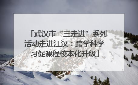 武汉市“三走进”系列活动走进江汉：跨学科学习促课程校本化升级