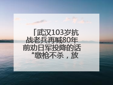 武汉103岁抗战老兵再喊80年前劝日军投降的话 “缴枪不杀，放你回家”