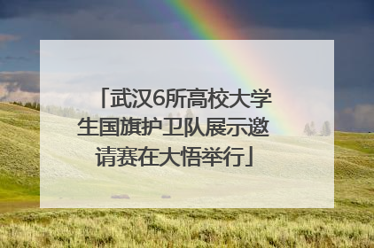 武汉6所高校大学生国旗护卫队展示邀请赛在大悟举行