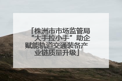 株洲市市场监管局“大手拉小手”助企赋能轨道交通装备产业链质量升级