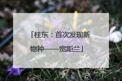 桂东：首次发现新物种——宽距兰