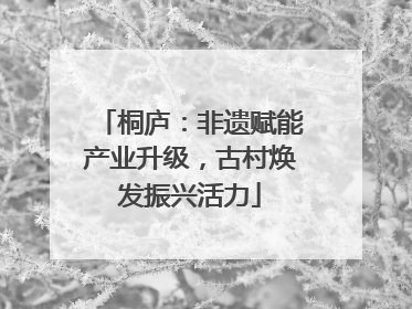 桐庐：非遗赋能产业升级，古村焕发振兴活力