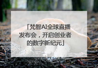 梵智AI全球直播发布会，开启创业者的数字新纪元