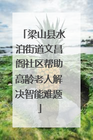 梁山县水泊街道文昌阁社区帮助高龄老人解决智能难题
