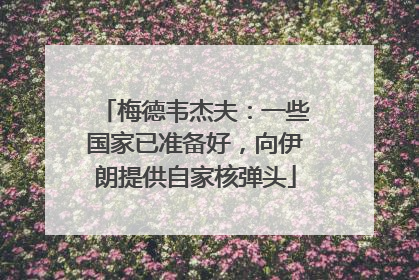 梅德韦杰夫：一些国家已准备好，向伊朗提供自家核弹头