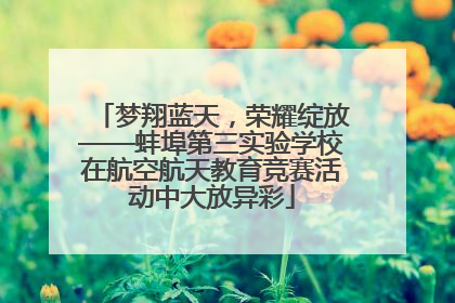 梦翔蓝天，荣耀绽放——蚌埠第三实验学校在航空航天教育竞赛活动中大放异彩
