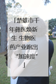 楚雄市千年彝医焕新生 生物医药产业跑出“加速度”