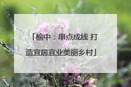 榆中：串点成线 打造宜居宜业美丽乡村