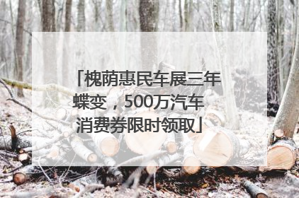 槐荫惠民车展三年蝶变，500万汽车消费券限时领取