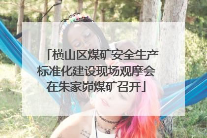 横山区煤矿安全生产标准化建设现场观摩会在朱家峁煤矿召开