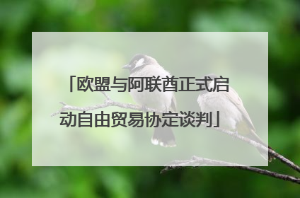 欧盟与阿联酋正式启动自由贸易协定谈判