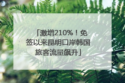 激增210%！免签以来昆明口岸韩国旅客流量飙升