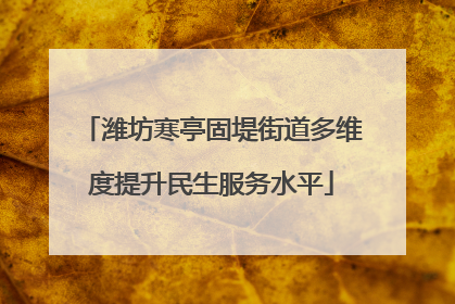 潍坊寒亭固堤街道多维度提升民生服务水平