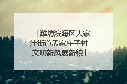 潍坊滨海区大家洼街道孟家庄子村文明新风展新貌