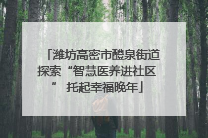 潍坊高密市醴泉街道探索“智慧医养进社区” 托起幸福晚年