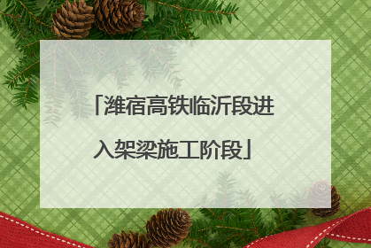 潍宿高铁临沂段进入架梁施工阶段