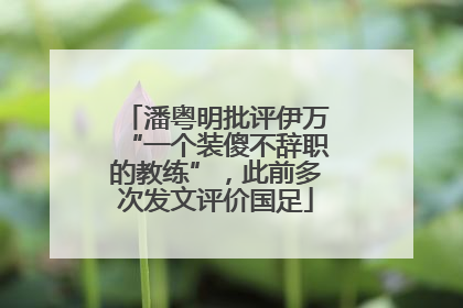 潘粤明批评伊万“一个装傻不辞职的教练”，此前多次发文评价国足