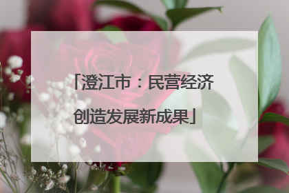 澄江市：民营经济创造发展新成果