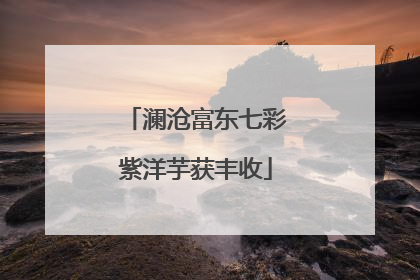 澜沧富东七彩紫洋芋获丰收