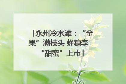 永州冷水滩：“金果”满枝头 蜂糖李“甜蜜”上市