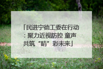 民进宁德工委在行动：聚力近视防控 童声共筑“睛”彩未来