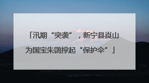 汛期“突袭”，新宁县崀山为国宝朱鹮撑起“保护伞”