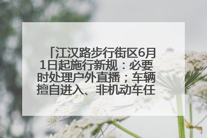 江汉路步行街区6月1日起施行新规：必要时处理户外直播；车辆擅自进入、非机动车任意停放的，依法处理