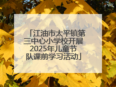 江油市太平镇第三中心小学校开展2025年儿童节队课前学习活动