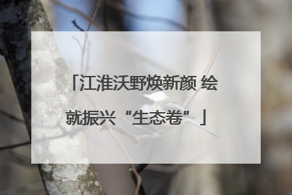 江淮沃野焕新颜 绘就振兴“生态卷”