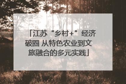 江苏“乡村+”经济破圈 从特色农业到文旅融合的多元实践