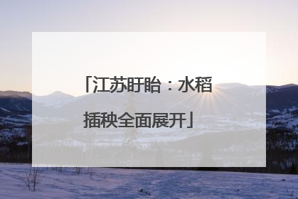 江苏盱眙：水稻插秧全面展开