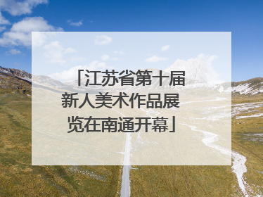 江苏省第十届新人美术作品展览在南通开幕