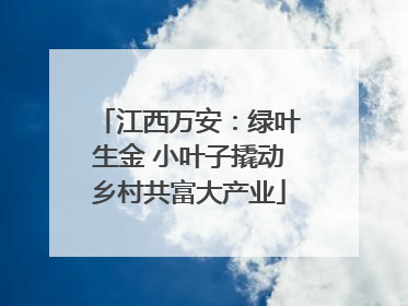江西万安：绿叶生金 小叶子撬动乡村共富大产业