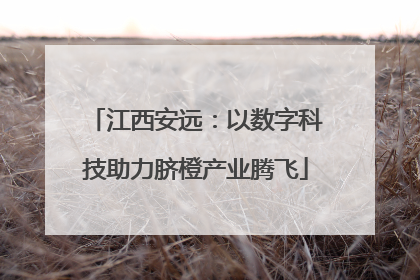 江西安远：以数字科技助力脐橙产业腾飞