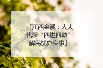 江西金溪：人大代表“四进四助”解民忧办实事