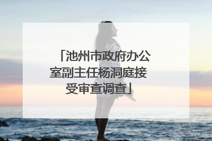 池州市政府办公室副主任杨洞庭接受审查调查