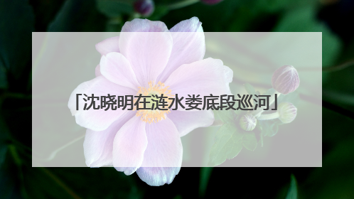 沈晓明在涟水娄底段巡河