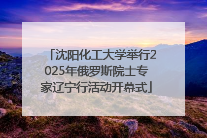 沈阳化工大学举行2025年俄罗斯院士专家辽宁行活动开幕式