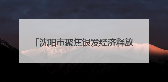 沈阳市聚焦银发经济释放530亿元投资合作机会