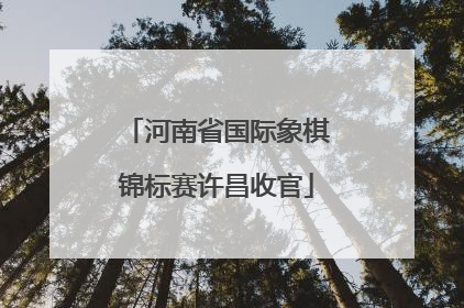 河南省国际象棋锦标赛许昌收官