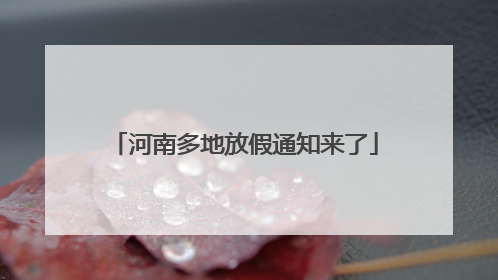 河南多地放假通知来了