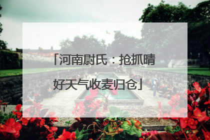 河南尉氏：抢抓晴好天气收麦归仓