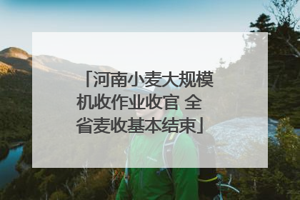 河南小麦大规模机收作业收官 全省麦收基本结束
