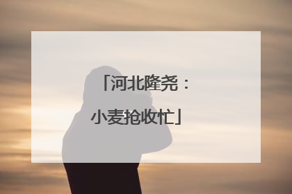 河北隆尧：小麦抢收忙