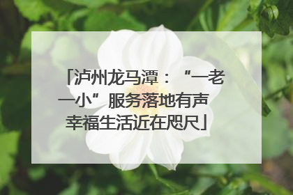 泸州龙马潭：“一老一小”服务落地有声 幸福生活近在咫尺